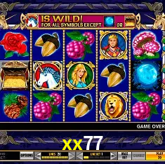 xx77 Rio de Janeiro - Bonus Terms